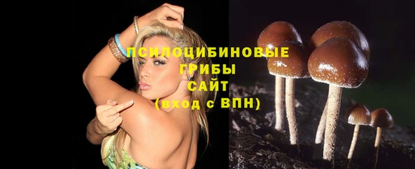 а пвп мука Абаза