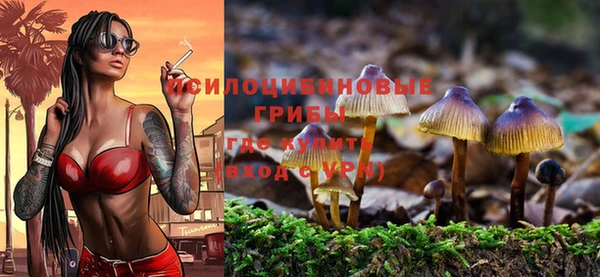 прущая мука Абинск